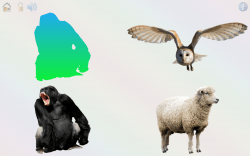 Gioca e impara: animali, colori, numeri, lettere, versi, nomi e curiosità