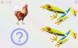 Gioca e impara: animali, colori, numeri, lettere, versi, nomi e curiosità