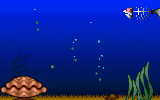 acquario.gif