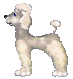 cane5.gif