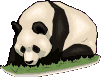 panda.gif