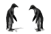 pinguini.gif