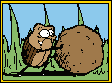 stercolaro.gif