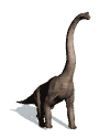 brachiosauro.gif