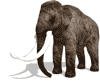 mammut.gif