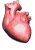 cuore.gif