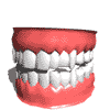 dentiera.gif