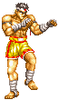 fighter.gif