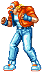fighter2.gif