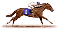 cavallo.gif