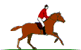 equitazione.gif