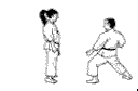 karate.gif