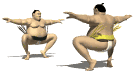 sumo.gif